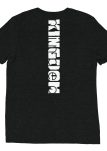 unisex-tri-blend-t-shirt-charcoal-black-triblend-back-660f01f03bdd6.jpg