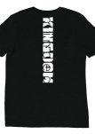 unisex-tri-blend-t-shirt-solid-black-triblend-back-660f01f03a170.jpg